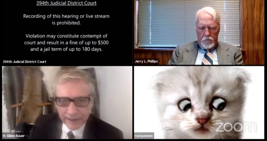 The Cat Filter Lawyer Video You Need To Watch