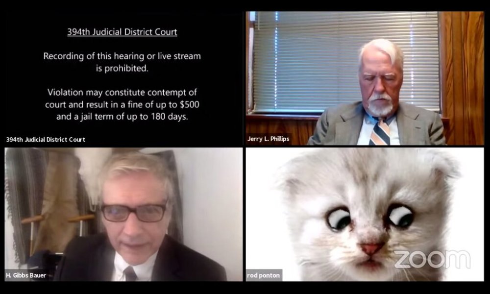 The Cat Filter Lawyer Video You Need To Watch