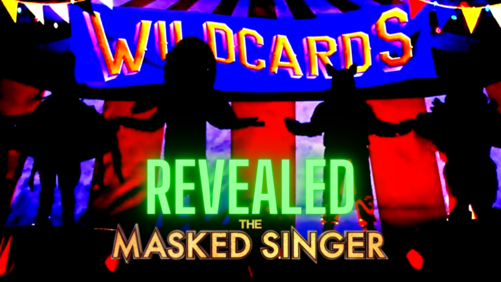 Masked Singer Wild Cards Revealed + Explained
